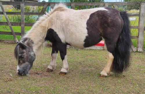Tiny Bauernhof Plau - Foto 20