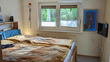 Ruhiges Appartement im Grünen - Foto 2