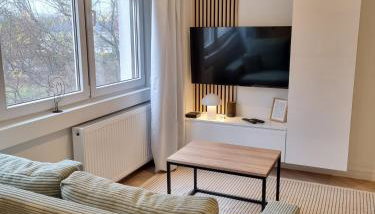 Własne M Studio - Foto 2