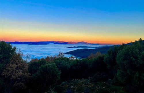 Bougainvillea casa vacanza - Foto 45