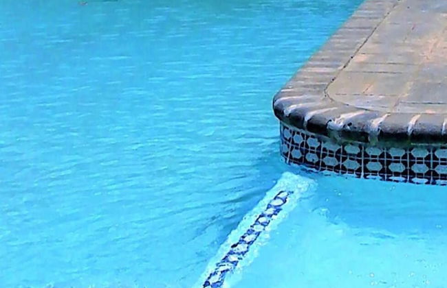 Casa Mia Apartments - Photo 10