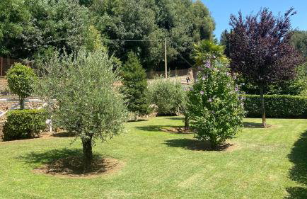 Casetta Santa Fortunata Guest House - Foto 22