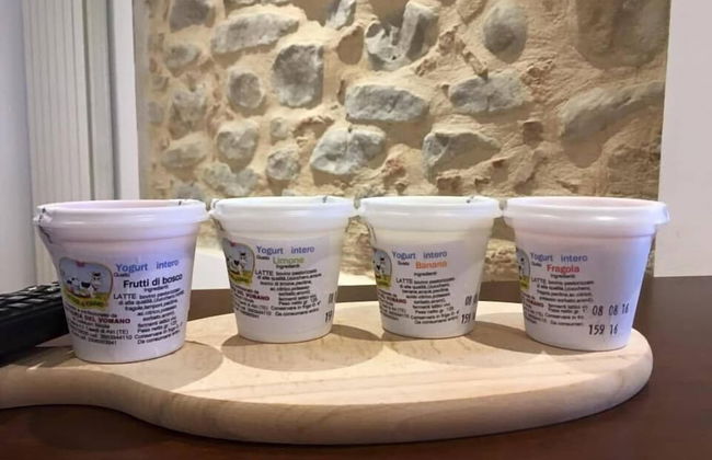 B&B Azienda Perconti - Foto 24