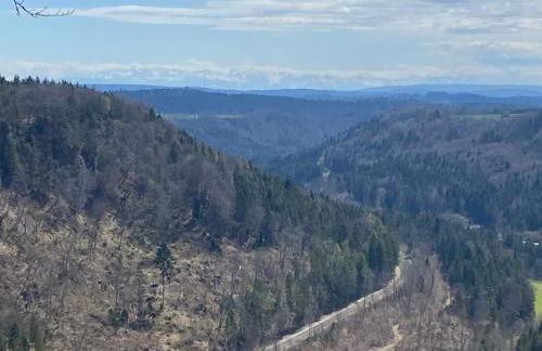 Monis Home - Foto 12