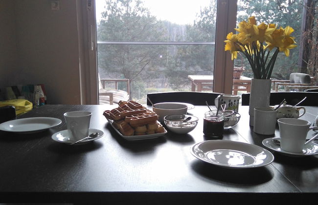 tuŻur Domki Nad Potokiem - Foto 19