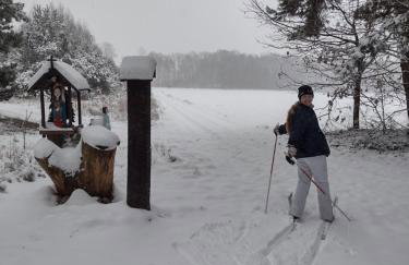 Kolorowe Wzgórze agroturystyka i konie - Foto 7