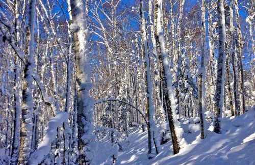 Secluded Waterfront Cabin Rental on Lake Superior near Red Cliff, Wisconsin - Foto 72