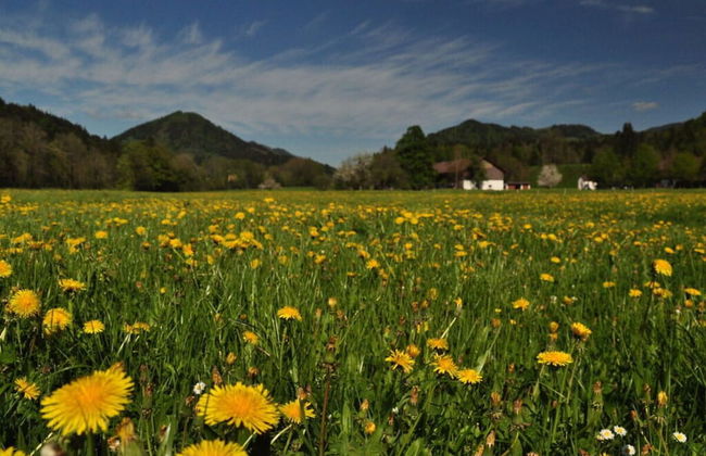 Holiday Apartment Lucky guy - Photo 13