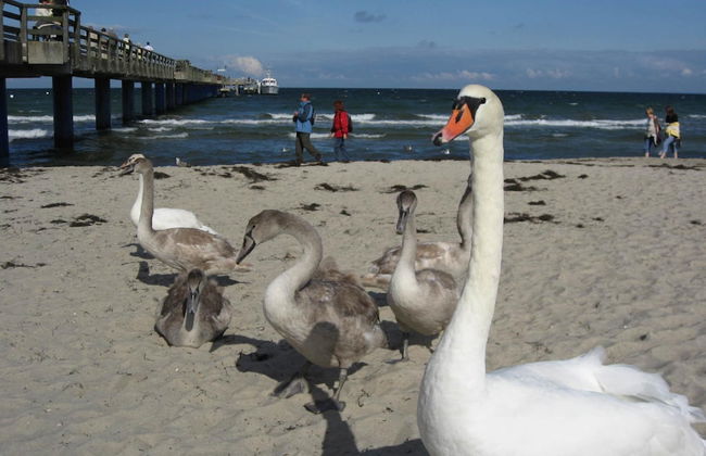 Escape Near Baltic Coast - Foto 24