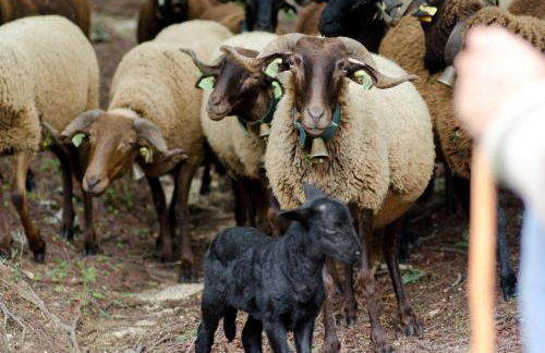 Casas do Soito - Foto 24