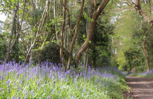 Bury Villa - 7 bedrooms sleeping 18 guests - Photo 31