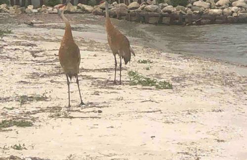 The Huron Hutch - Foto 37