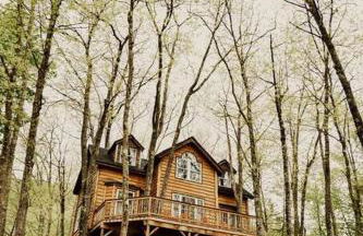 Treehouse in Maine woods- The Grand Oak - Foto 9