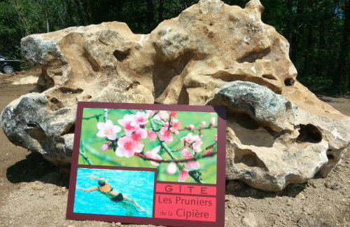 Les pruniers de la cipière - Foto 30