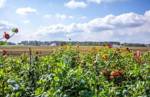 The Little Farmhouse at Oostema Farmstead - Foto 14