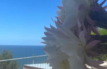 Sunderville Superior - Foto 60