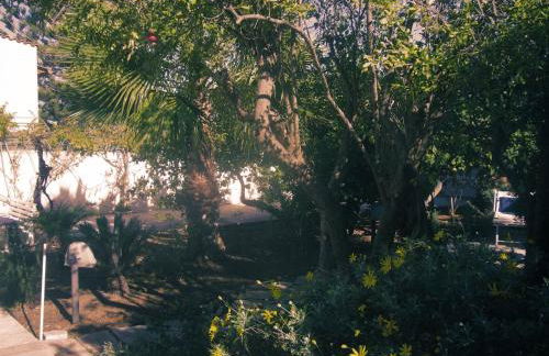 Buena Vista - Country Villa - Free Wifi, Outdoor Shower - Foto 40