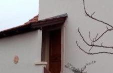 Le figuier de francesca - Photo 26