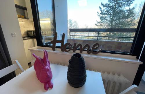 Messeapartment Wöhrder See - Foto 12