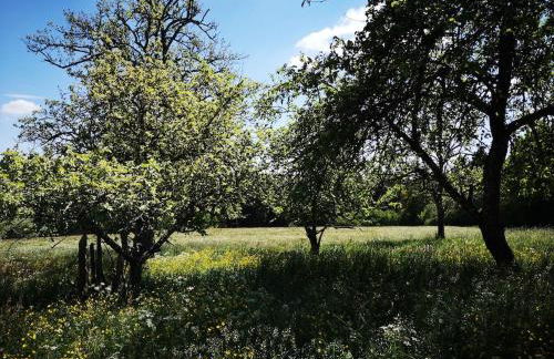 Ferienhaus Nordschwarzwald - Foto 18