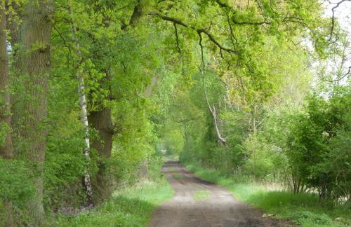 Wassermühle Stemmen - Foto 21