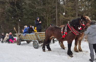 Natur House Beskidy - Unikalny Domek w Górach, Balia, Sauna - Foto 26