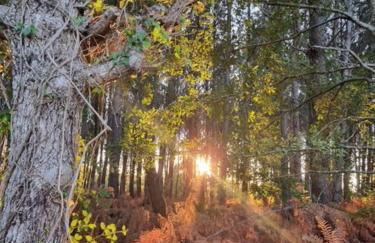 La Cabane de Sofi Villa Cosy Piscine 8 PERS - Foto 44