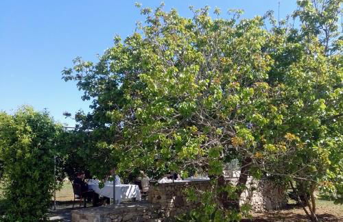 Agriturismo Villa Coluccia - Foto 55