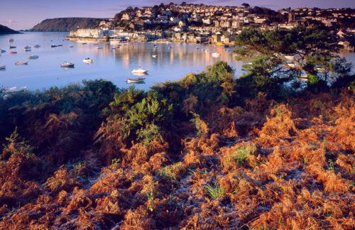 Hope Thatch - Foto 49