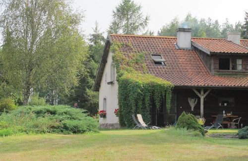 domki na leśnej polanie - Foto 39