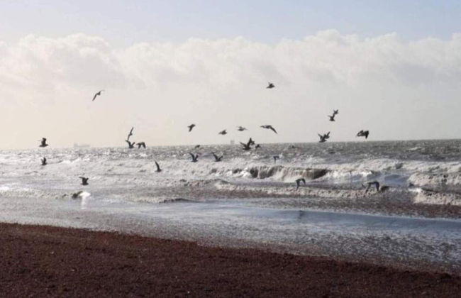 10 Person Holiday Home in Rodby-by Traum - Foto 29