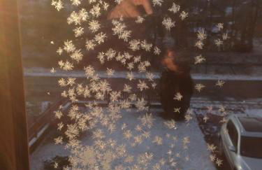 Ferienhaus Ginkgo Biloba - Foto 49