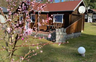 Eichberg Ferienhäuser - Foto 1