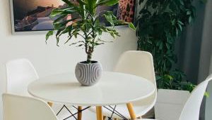 Top möblierte 2-Zimmer Wohnung im Zentrum von Vilsbiburg, sonniger Balkon, private Garage - Foto 2