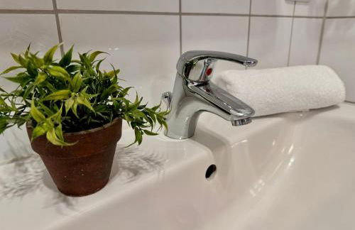 Ela's Hof - Trollblume - Foto 6