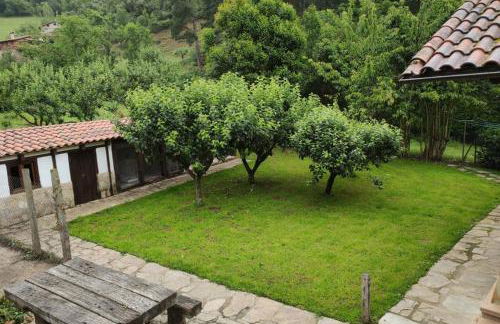 Casa el Viñadal - Foto 12