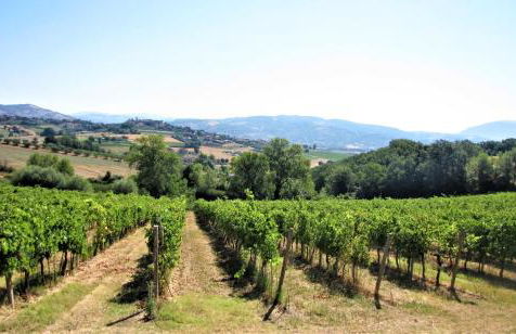 Residenza storica con vista panoramica - Foto 24