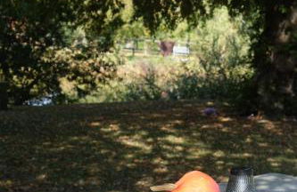 Cabane en A La Pause Sauvage Normandie - Foto 18