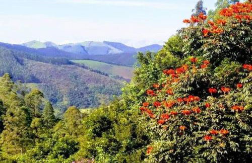 Tao da Serra - cabana em meio à natureza! - Foto 36