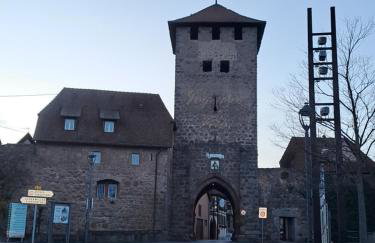 Gite premium, au Cœur de l'Ours - Foto 35