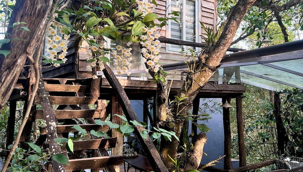 MeGarden Daknong - Foto 5, Habitación