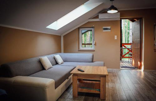 Domek letniskowy SZWED-POL - Foto 16