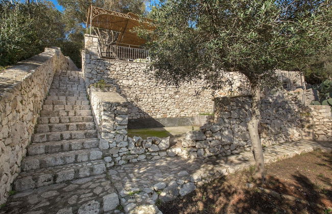 Pajara Acquaviva - Foto 12