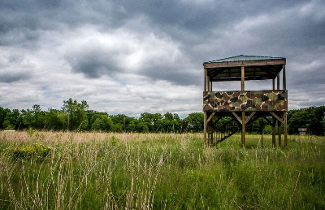 Pleasant Grove Farm LLC - Foto 77