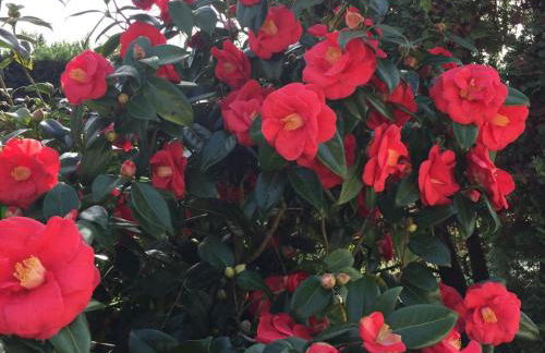 Gîte élégant avec grand jardin privé, idéalement situé près des châteaux et activités, tout inclus - FR-1-491-358 - Foto 15