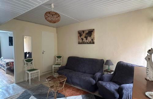 Appart' bucolique en plein centre ville - Photo 5