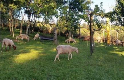 Agriturismo La Ginestra - Foto 28