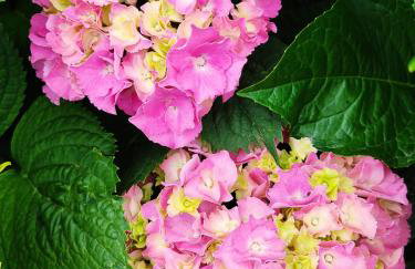 Cozy Blue Stone House with a Great Sea View. - Foto 38