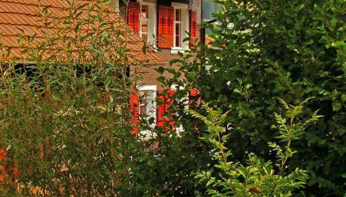 Schwarzwaldbauernhaus Bernau - Foto 3