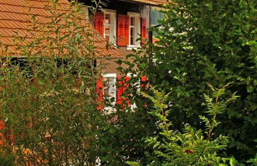 Schwarzwaldbauernhaus Bernau - Foto 3